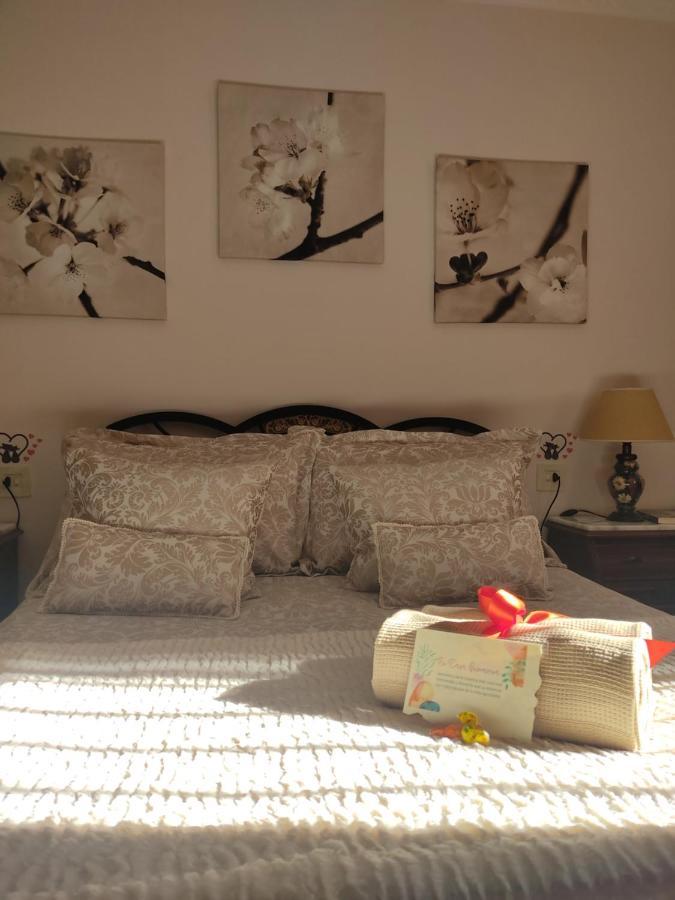 Casa Primavera Apartment Setenil De Las Bodegas Екстериор снимка
